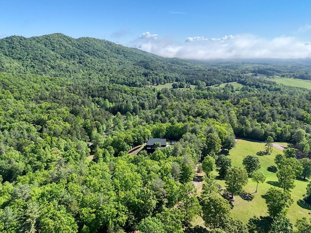drone / aerial view of a forest
