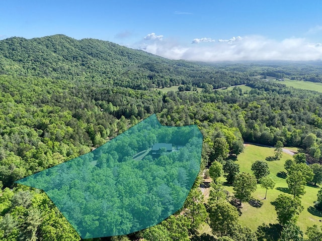 bird's eye view of a heavily wooded area