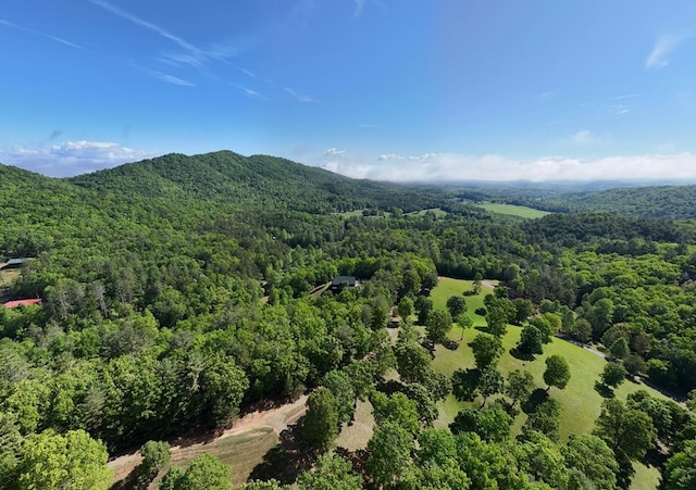 bird's eye view of a forest and a mountainous background