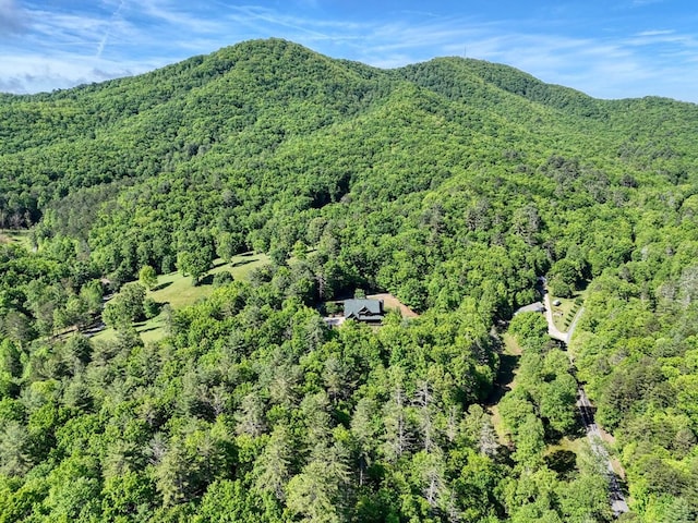mountain view with a forest