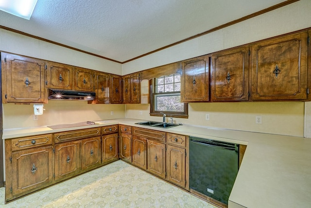 kitchen featuring under cabinet range hood, light countertops, black appliances, and a sink