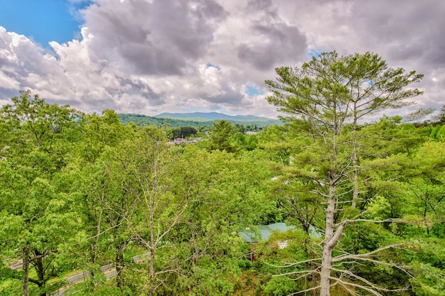 property view of mountains with a forest view