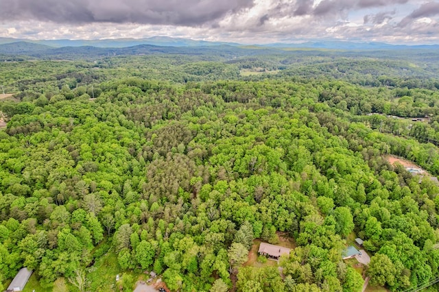 birds eye view of property with a forest view and a mountain view