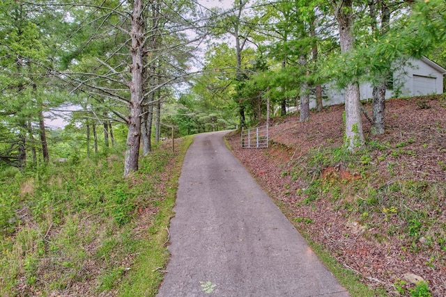 view of road with aphalt driveway