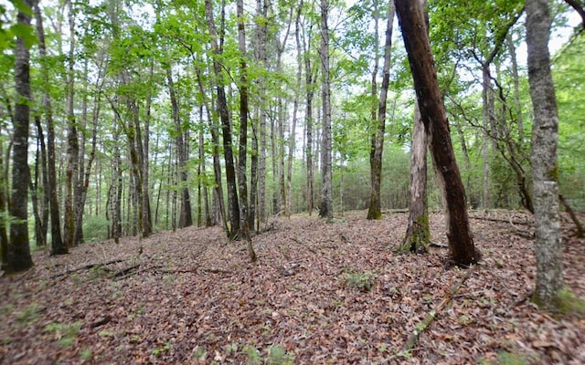 LOT12 Hi River Country, Hiawassee GA, 30546 land for sale