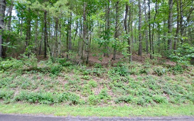 Listing photo 2 for LOT12 Hi River Country, Hiawassee GA 30546