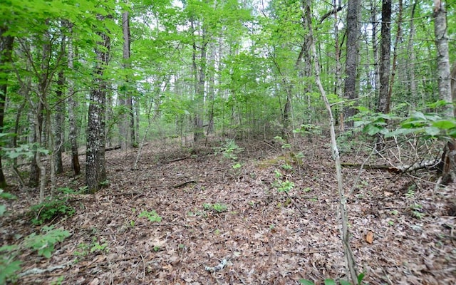 Listing photo 3 for LOT12 Hi River Country, Hiawassee GA 30546