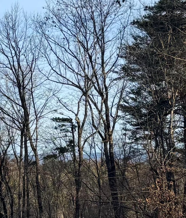 89 Pamela Ct, Ellijay, GA 30540 - mountain view featuring a heavily wooded area
