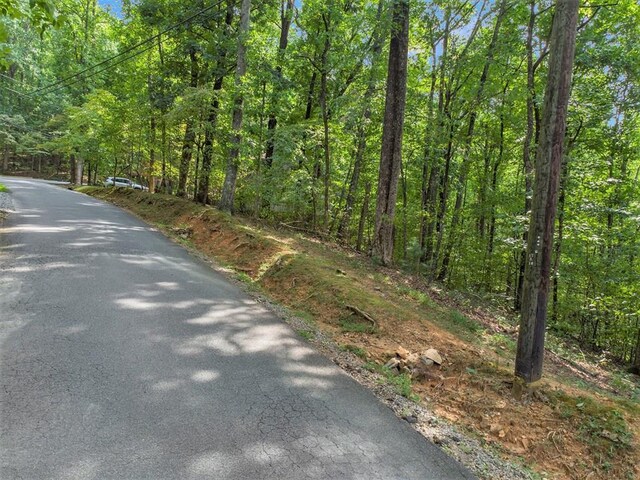 Listing photo 2 for M100 Skyview Dr, Ellijay GA 30536