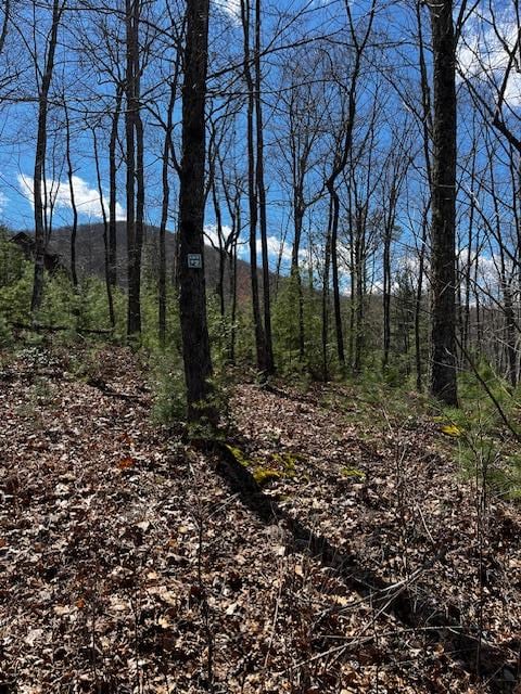 11 Knights Gap Way, Blairsville GA, 30512 land for sale