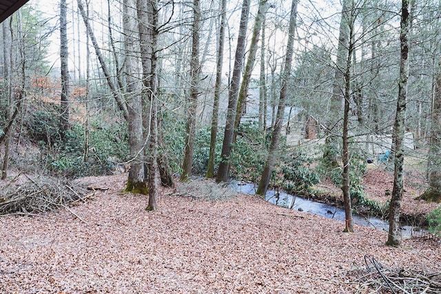 view of landscape featuring a wooded view