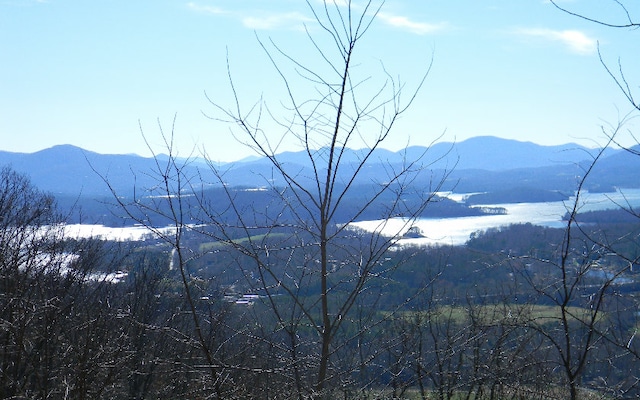 L60M Mountain Harbour Dr, Hayesville NC, 28904 land for sale