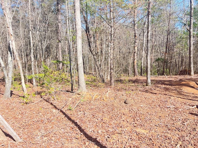 C Ponderosa, Epworth GA, 30541 land for sale