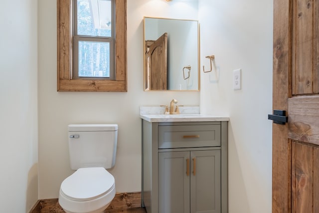 bathroom with toilet and vanity