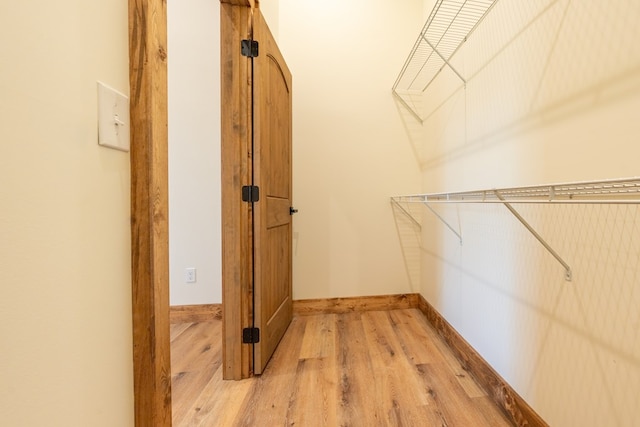 spacious closet featuring light wood-style flooring