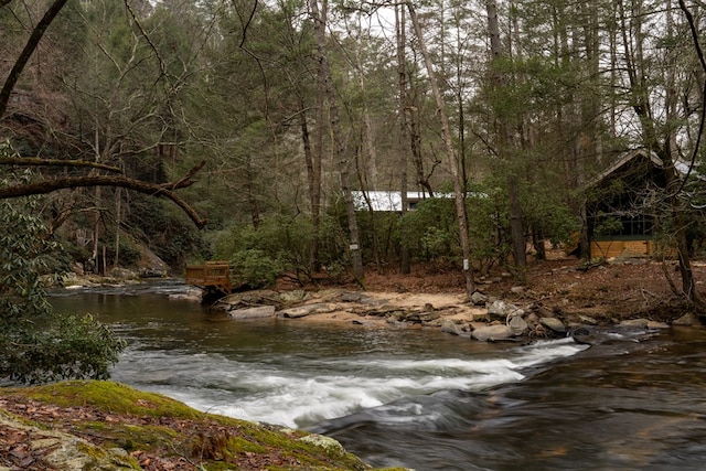 view of water feature featuring a wooded view