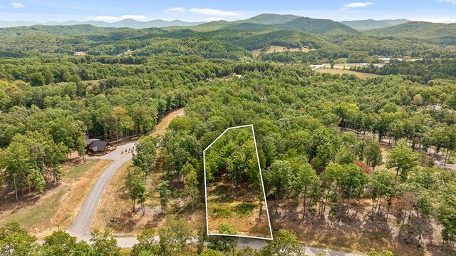 LOT161 Ridge Dr, Morganton GA, 30560 land for sale