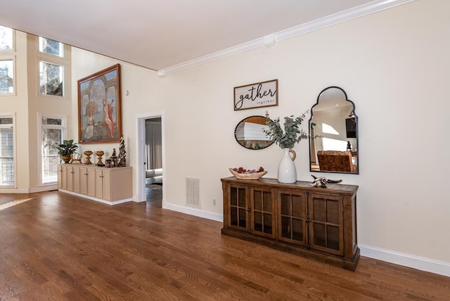 33 Tj Mote Rd, Dahlonega, GA 30533 - living area with ornamental molding, baseboards, plenty of natural light, and dark wood-style flooring
