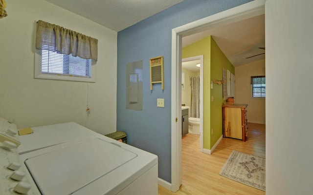 laundry room with a healthy amount of sunlight, separate washer and dryer, and light hardwood / wood-style flooring