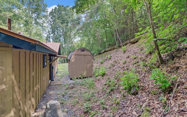 view of yard with a storage shed