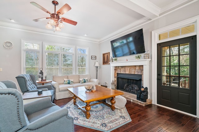 living room featuring a fireplace, dark hardwood / wood-style flooring, and a healthy amount of sunlight