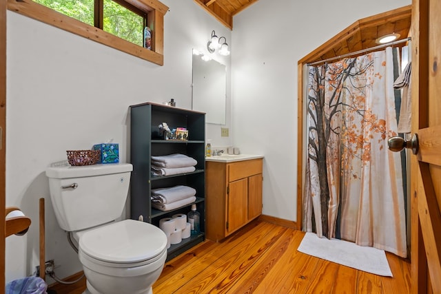 127 Berry Reister Dr, Blairsville, GA 30512 - bathroom featuring wood finished floors, toilet, vanity, and a shower with curtain
