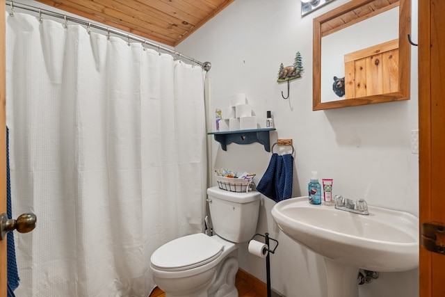 127 Berry Reister Dr, Blairsville, GA 30512 - full bath featuring toilet, wooden ceiling, a sink, and a shower with shower curtain