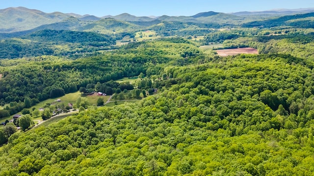 127 Berry Reister Dr, Blairsville, GA 30512 - aerial view of a forest and a mountainous background