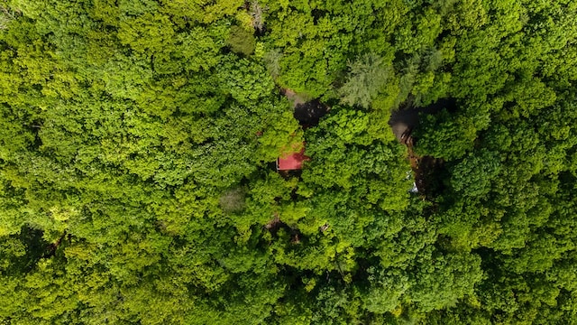 127 Berry Reister Dr, Blairsville, GA 30512 - view of property location