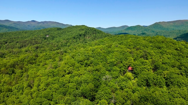 127 Berry Reister Dr, Blairsville, GA 30512 - view of mountain background featuring a heavily wooded area