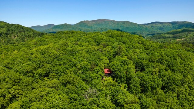 127 Berry Reister Dr, Blairsville, GA 30512 - view of mountain backdrop featuring a heavily wooded area