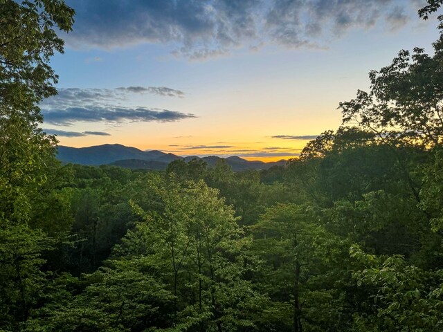 127 Berry Reister Dr, Blairsville, GA 30512 - view of mountain backdrop with a forest