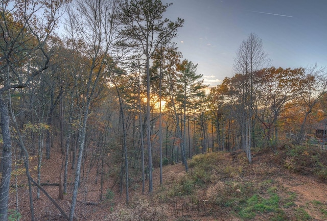 view of nature at dusk