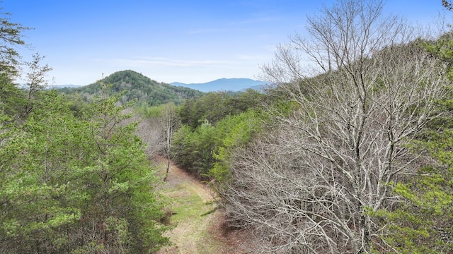 Listing photo 2 for 7.18AC Mcjunkin Rd, Turtletown TN 37391