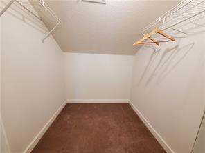 spacious closet featuring dark carpet