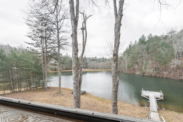 water view featuring a boat dock