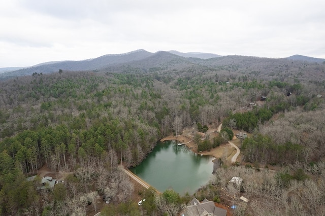 birds eye view of property with a water and mountain view