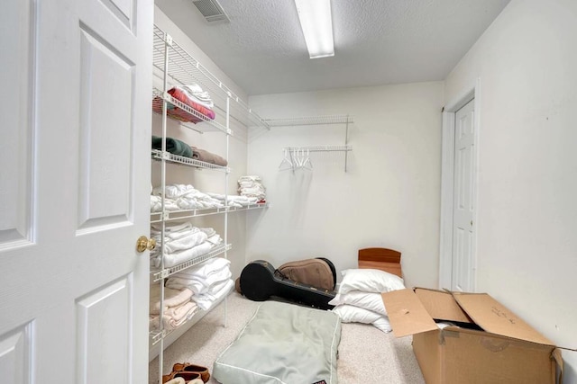 spacious closet featuring carpet