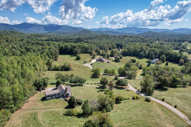 aerial view with a mountain view