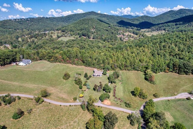 bird's eye view featuring a mountain view