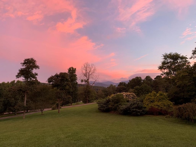 view of yard at dusk