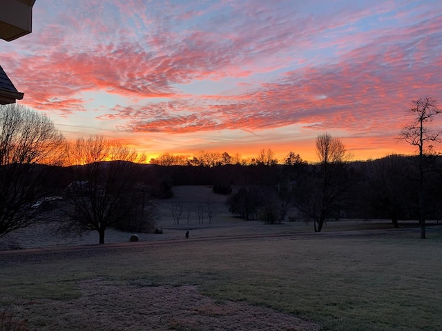 view of yard at dusk