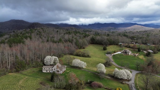 bird's eye view featuring a mountain view