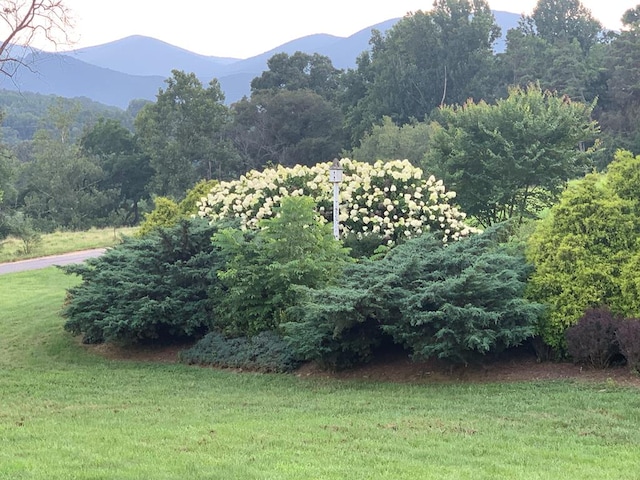 view of yard with a mountain view