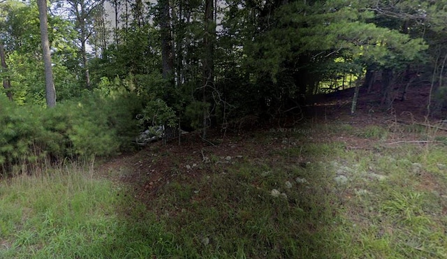 LOT305 Lemmon Ln, Ellijay GA, 30540 land for sale