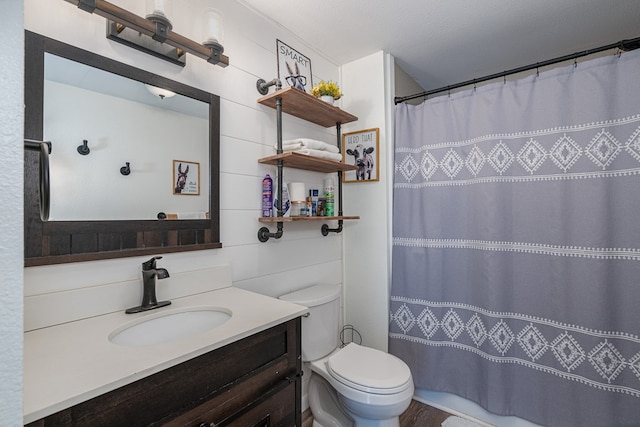 211 Gregory Hollow Rd, Robbinsville, NC 28771 - bathroom with toilet, vanity, and a shower with curtain