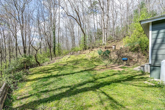 211 Gregory Hollow Rd, Robbinsville, NC 28771 - view of yard with a forest view