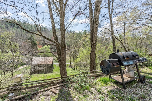211 Gregory Hollow Rd, Robbinsville, NC 28771 - view of yard featuring a view of trees and an outbuilding