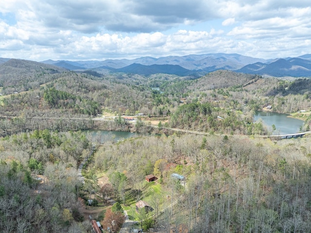 211 Gregory Hollow Rd, Robbinsville, NC 28771 - drone / aerial view with a forest view and a water and mountain view