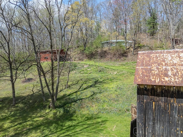 211 Gregory Hollow Rd, Robbinsville, NC 28771 - view of yard
